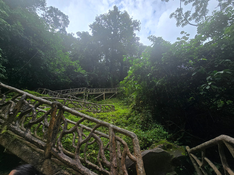 Costa Rica —  Bright, clean, and naturally sweet